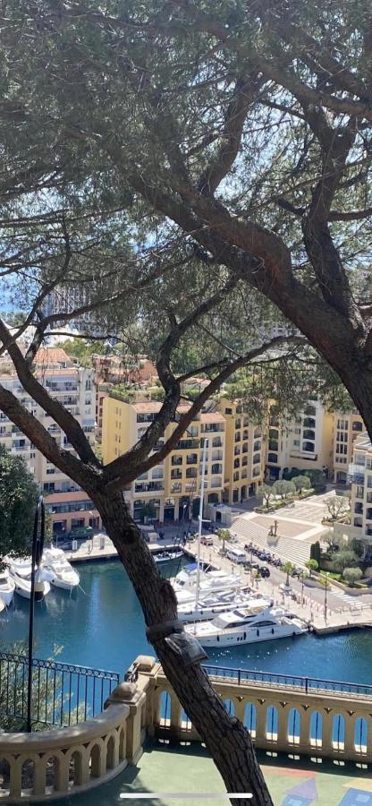 Superbe 2P Vue Mer, Ensoleille, Piscine Apartman Roquebrune-Cap-Martin Kültér fotó